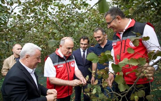 Ordu Valisi Fındık Üreticisini Ziyaret Etti