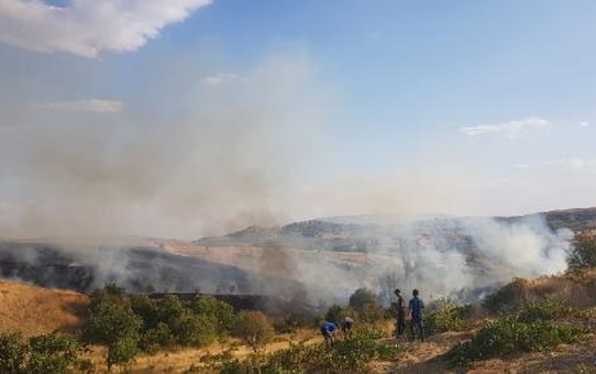 Siirt'te Fıstık ve Üzüm Bağında Yangın