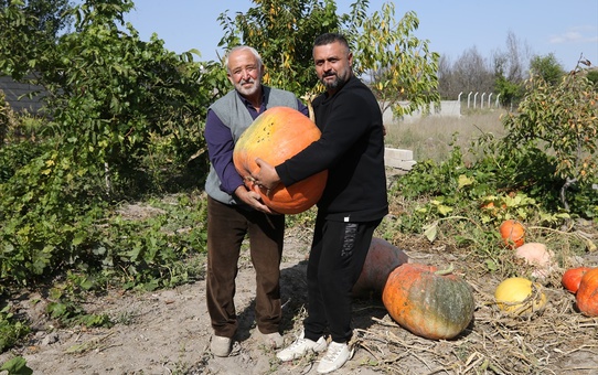 Nevşehir'de 40 kilogramlık bal kabakları büyük ilgi görüyor