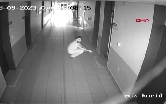 BUÜ Veteriner Fakültesi Hayvan Hastanesi'nde bulunan sokak kedisine yuva bulundu