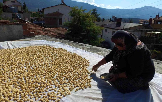 5 asırlık yöntemle hazırlanan tarhanalar damlara serildi