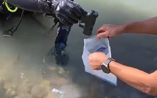 Adana'da 60 Ruhsatsız Tabanca Ele Geçirildi, 57 Şüpheli Tutuklandı