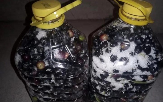 Eskişehir'de Zeytin Rekoltesi Düşüşte