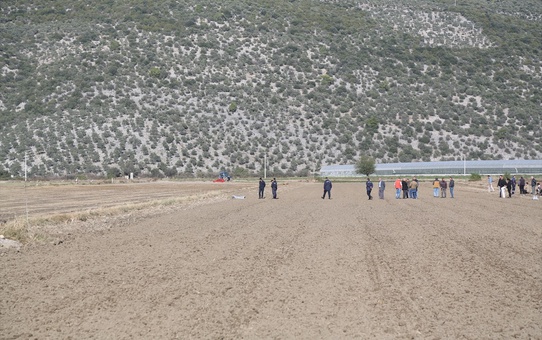 Muğla'da çift sürmek için tarlaya giden kişi ölü bulundu