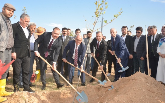 Adana'da Alparslan Türkeş anısına 106 fidan dikildi