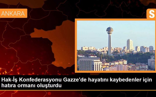 Hak-İş Konfederasyonu Gazze'de hayatını kaybedenler için hatıra ormanı oluşturdu