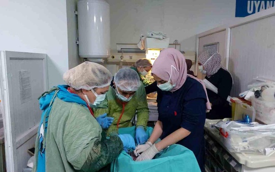 Gaziantep'te 2024'ün ilk üçüz bebekleri dünyaya geldi