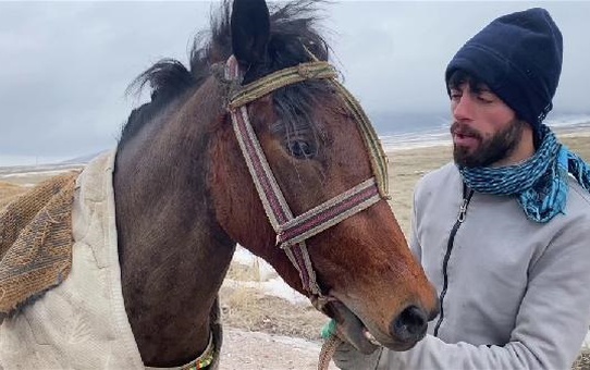 KARS'ta 2 yaşındaki yerli taylar için yarış düzenlendi
