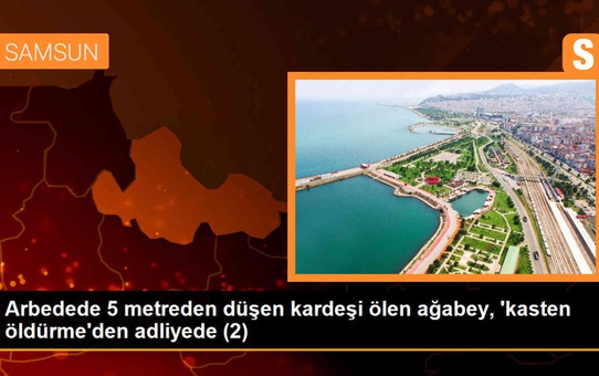 Antene zarar vermeye çalışan kişi arbedede öldü, ağabeyi ev hapsine çarptırıldı