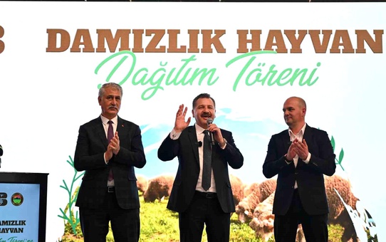 Balıkesir Büyükşehir Belediyesi Savaştepe'de 550 Küçükbaş Hayvan Dağıttı