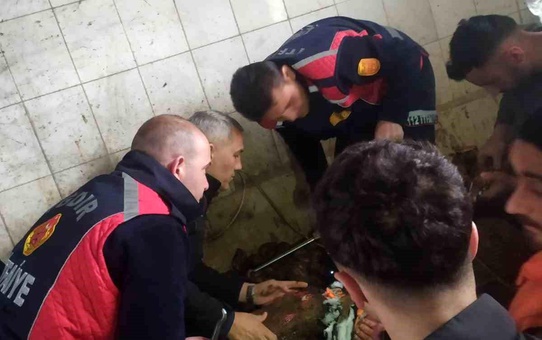 Iğdır'da mezbahada çalışan işçi sağ kolunu makineye kaptırdı