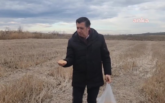 Çeltik Üreticileri Girdi Maliyetlerinde Artış Yaşıyor