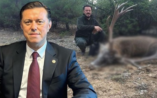 AK Parti'nin Eskişehir adayı Nebi Hatipoğlu'nun geyik ve yaban domuzu avladığı görüntüler ortaya çıktı