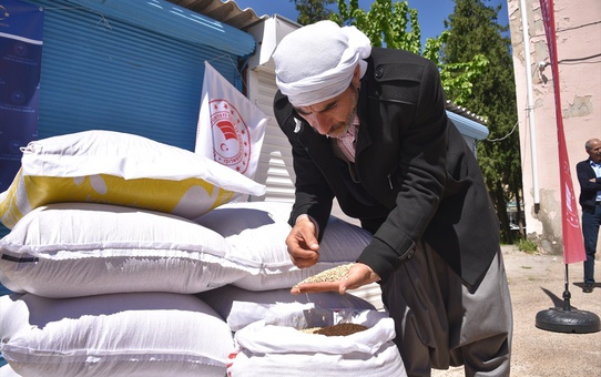 Şanlıurfa'da üreticilere 11 ton çeltik tohumu dağıtıldı