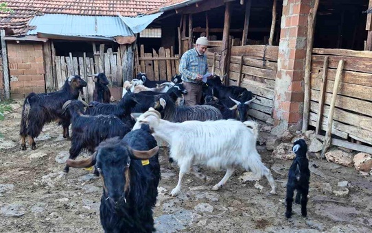 Denizli'nin Tavas ilçesinde keçi çobanı şiir ve müzikle ilgileniyor