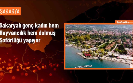 Sakarya'da Hayvancılık Yapan Genç Kadın Dolmuş Şoförlüğü Yaparak Hayallerini Gerçekleştiriyor