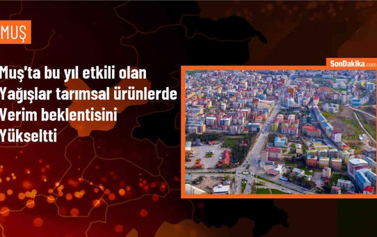 Muş'ta Yağışlar Tarımsal Verimi Artırıyor