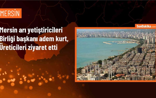 Mersin Arı Yetiştiricileri Birliği Başkanı: Piyasada sahte bal satanlara caydırıcı ceza verilmeli