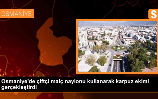 Osmaniye'de Çiftçi Malç Naylonu Kullanarak Karpuz Ekimi Yaptı