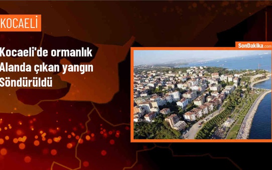 Gebze'de Ormanlık Alanda Çıkan Yangın Söndürüldü