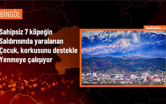 Bingöl'de sahipsiz köpeklerin saldırısına uğrayan çocuk, psikolojik destek alıyor