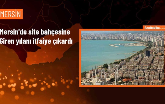 Mersin'de sitenin bahçesine giren yılan itfaiye ekiplerince çıkarıldı