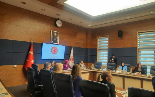 Türkiye'nin demografik dönüşümü ve kadınların doğurganlık tercihleri