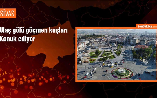 Sivas Ulaş Gölü, Göçmen Kuşlara Ev Sahipliği Yapmaya Başladı