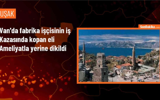 Van'da briket fabrikasında çalışan işçinin kopan eli ameliyatla yerine dikildi