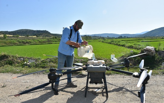 Sinop'ta Çeltik Üreticileri Tarımsal Faaliyetlerde Dron Kullanıyor