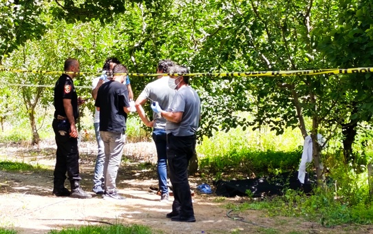 Amasya'da bağda ölü bulunan kişinin ölüm nedeni otopsi sonucu belirlenecek