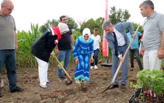 Düzce'de Kadın Çiftçiler Tarımsal Yeniliklerle Buluştu
