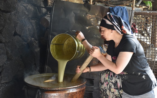 Gümüşhane'de Kadınlar Geleneksel Yöntemlerle Pestil Üretimine Başladı