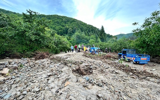 Ordu'nun İkizce ilçesinde şiddetli yağış heyelana yol açtı