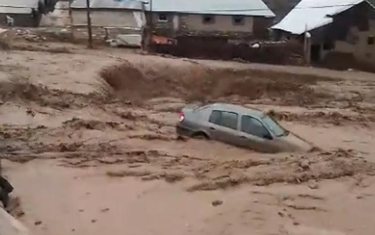 Eleşkirt'te yıldırım çarpan çoban yaralandı, sağanak yağış sele dönüştü