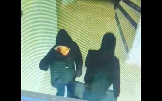Bursa'da Pazara Giden Ailenin Evinden 500 Bin Liralık Ziynet Eşyası Çalan Hamile Hırsızın Suç Dosyası Kabarık Çıktı
