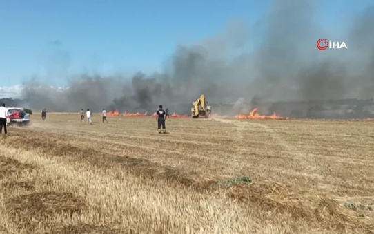 Tekirdağ'da anız yangını
