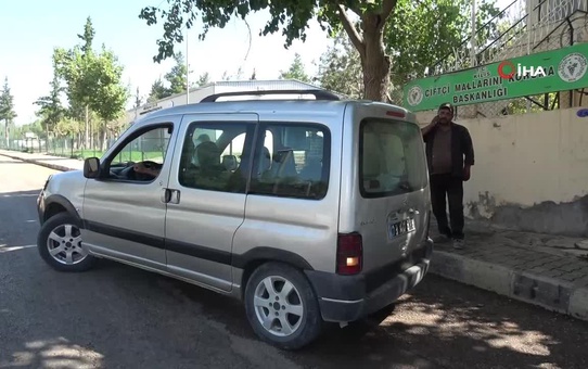 Fıstık hırsızları kıskıvrak yakalandı