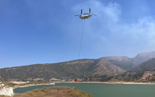 Muğla'nın Milas ilçesinde orman yangını çıktı