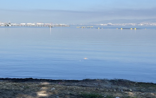 İzmit Körfezi'nde Ölü Bulunan Kişinin Kimliği Belirlendi