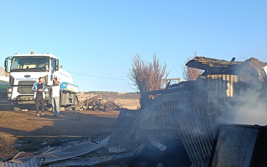 Bingöl'ün Karlıova ilçesinde ahırda çıkan yangın söndürüldü