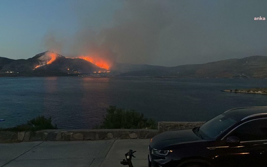 İzmir Urla'da Orman Yangını Söndürme Çalışmaları Devam Ediyor