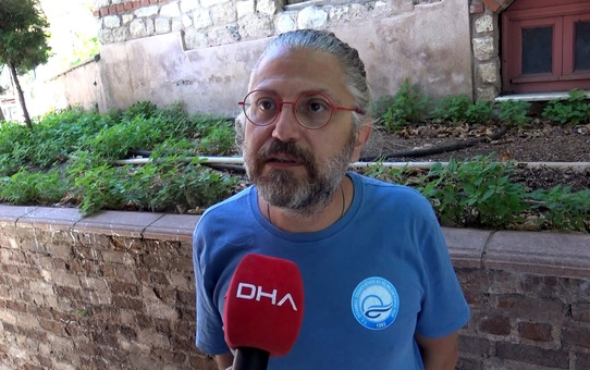 Ölen yunus için yaptığı hareket bilimsel makaleye konu oldu
