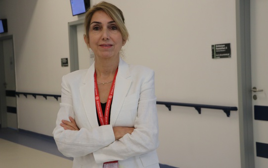 Türkiye'de sınırlı sayıda maymun çiçeği vakası görüldü
