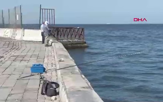 İzmir Körfezi'nde Ölen Balıkların Tüketilmemesi Uyarısı