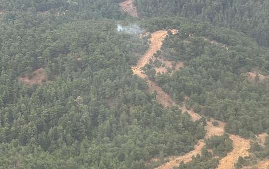 Balıkesir'de yıldırımın yol açtığı orman yangını söndürüldü