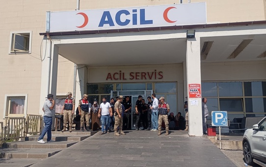 Şanlıurfa'da arazi anlaşmazlığından çıkan kavgada ikizler öldü