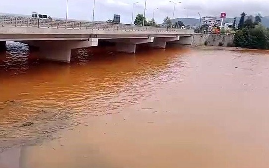 Gelevera Deresi'nde Balık Ölümleri Vatandaşları Korkutuyor