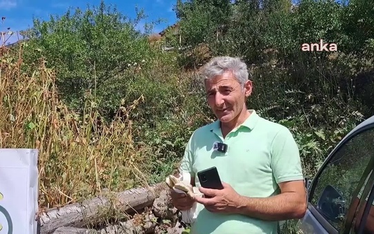 Artvin'de Doğal Bal Projesi: 'Çavdarlı'da Kovanın Olsun'