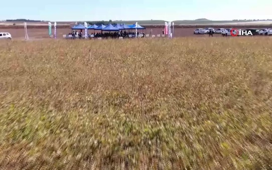 Diyarbakır'da 35 Bin Dekar Soya Ekim Alanı